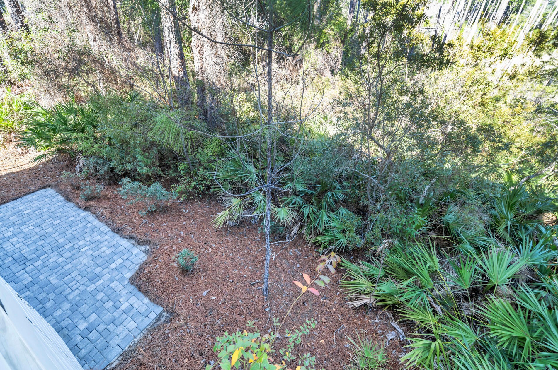 302 Cabana Trl, Santa Rosa Beach FL  32459-7574 exterior