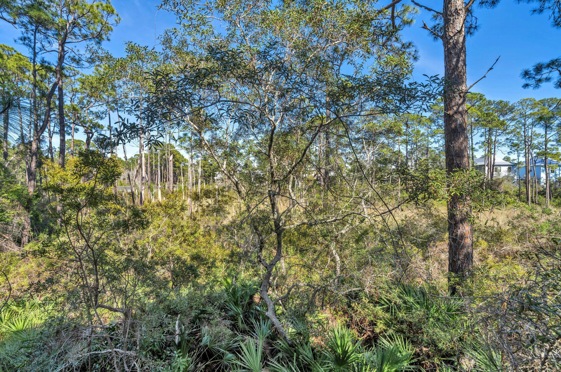 302 Cabana Trl, Santa Rosa Beach FL  32459-7574 exterior