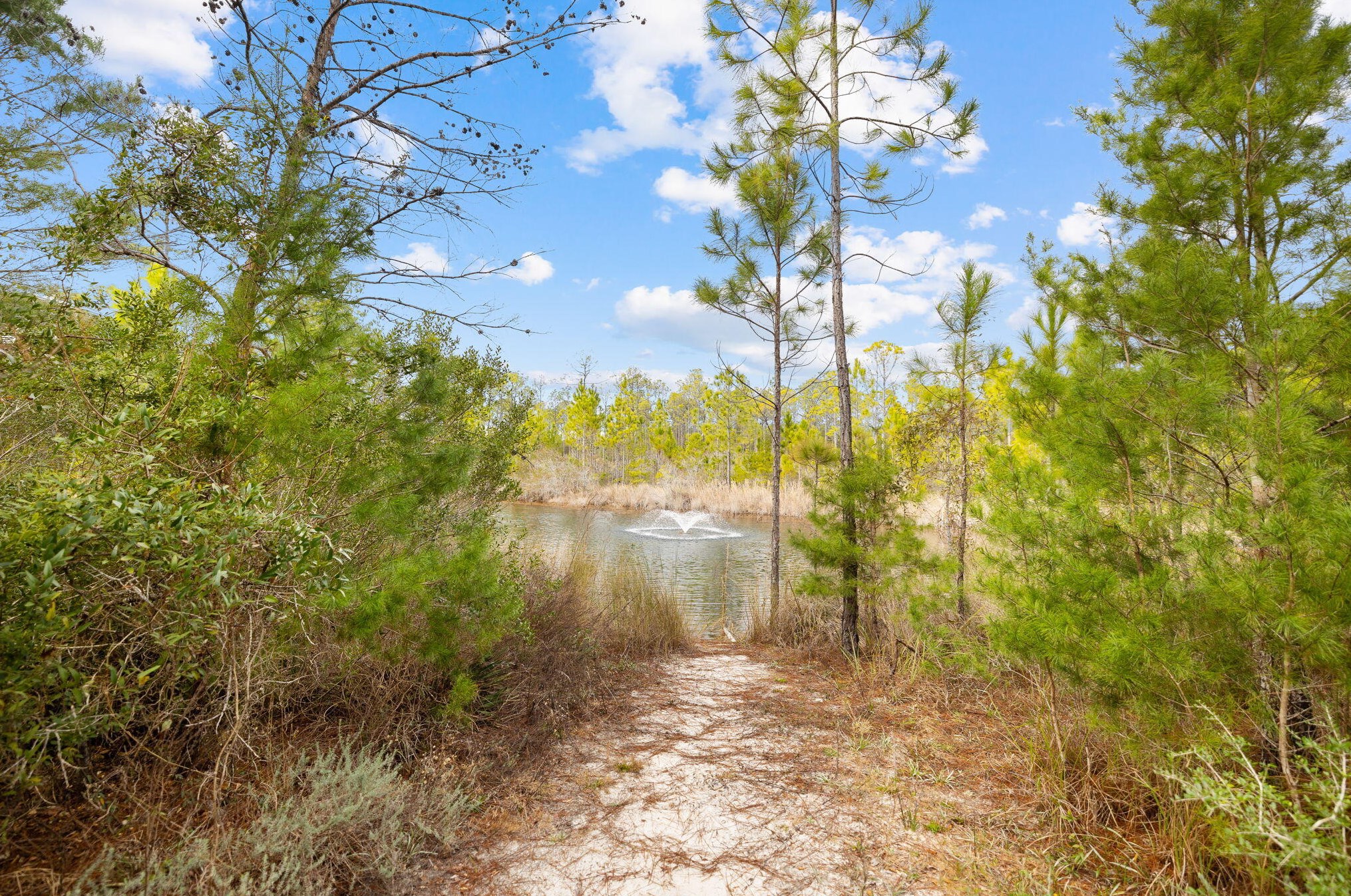 162 Emerald Beach Cir, Santa Rosa Beach FL  32459-0015 exterior