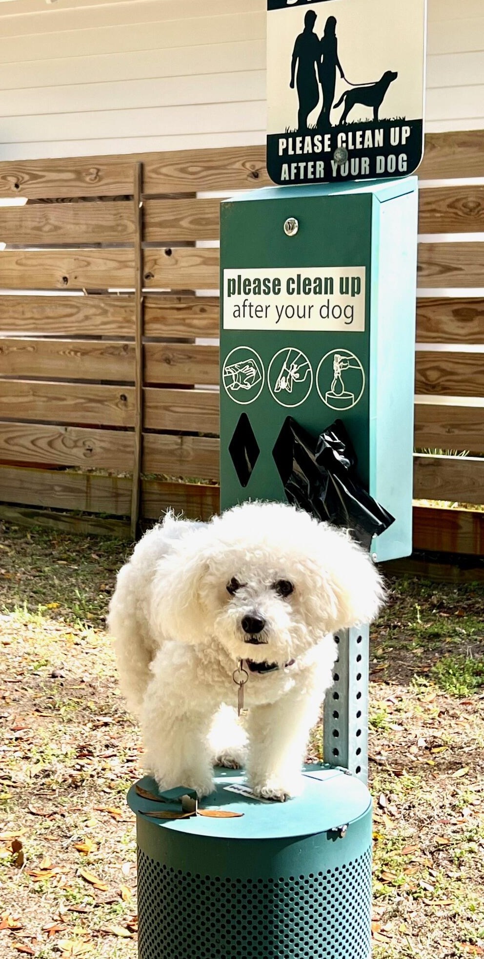 36 Grayton Bayou Dr, Santa Rosa Beach FL  32459-0823 exterior