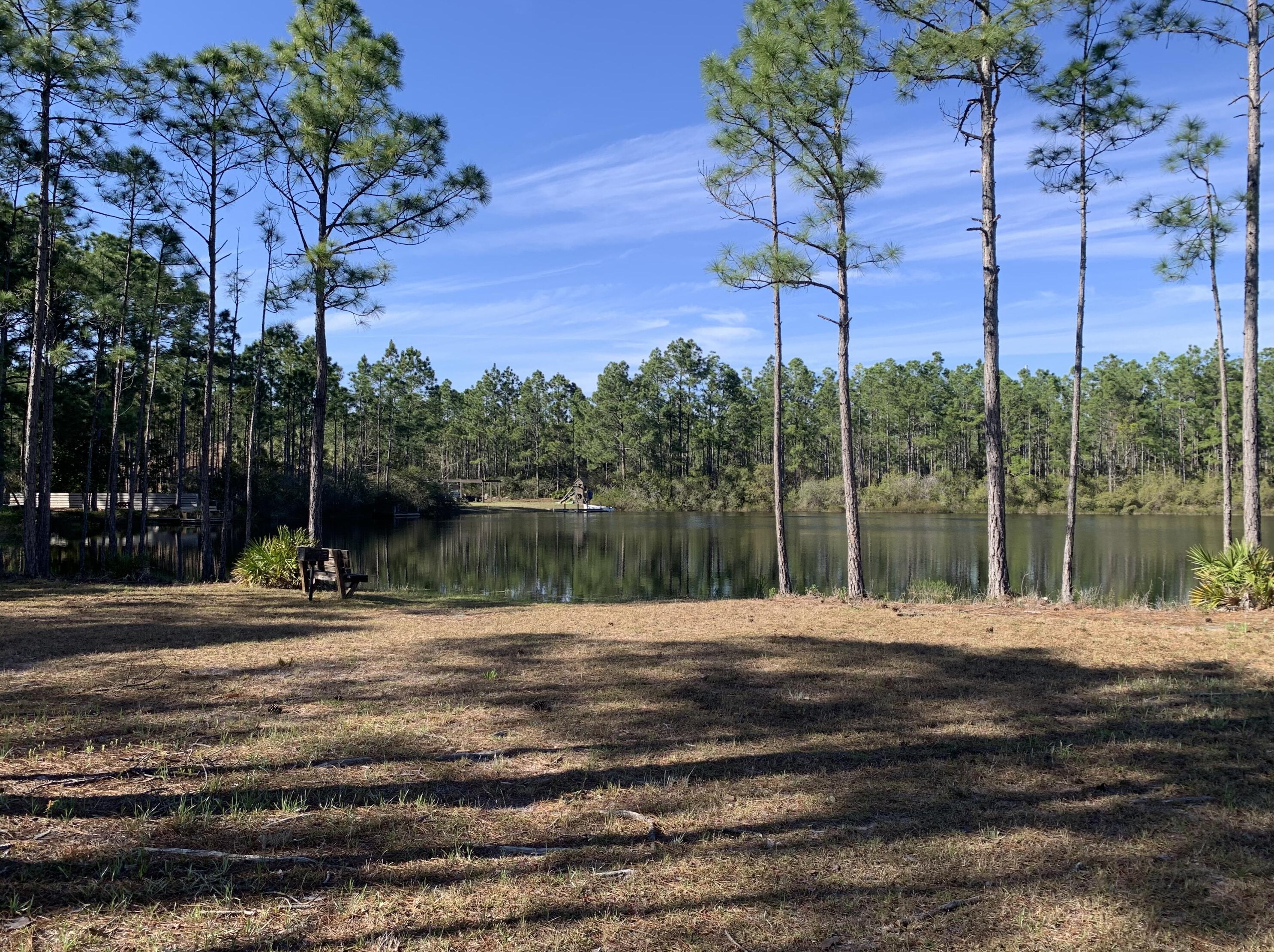 209 Santa Barbara Ave, Santa Rosa Beach FL  32459-4023 exterior