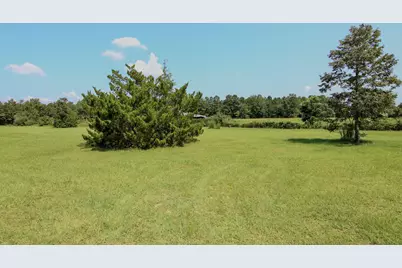 924 Hwy C4A, Baker, FL 32531 - Photo 19