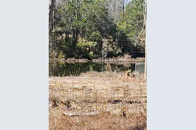 Lot 43 Pinewood Drive, Defuniak Springs, FL 32433 - Photo 7