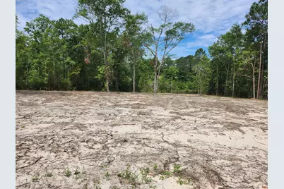 Lot 43 Pinewood Drive, Defuniak Springs, FL 32433 - Photo 1
