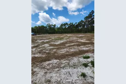 302 Frank McKamey Way, Carrabelle, FL 32322 - Photo 9