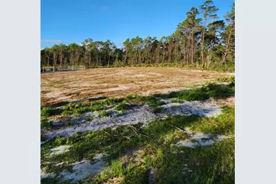 302 Frank McKamey Way, Carrabelle, FL 32322 - Photo 5