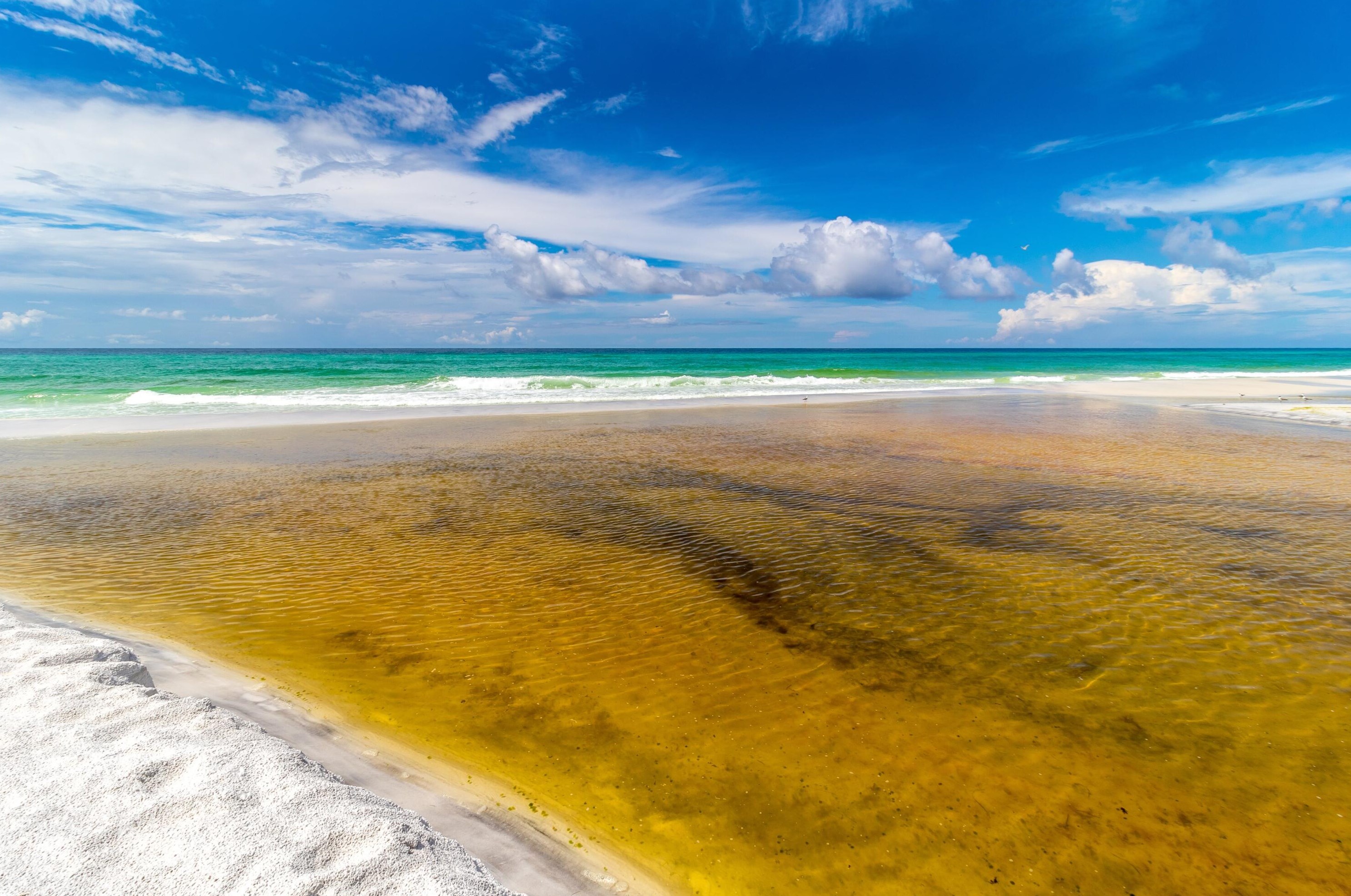 448 Cypress Dr, Santa Rosa Beach FL  32459-8586 exterior