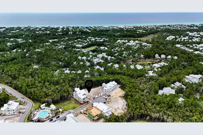 40 String Lily Cove Cove, Santa Rosa Beach, FL 32459 - Photo 9