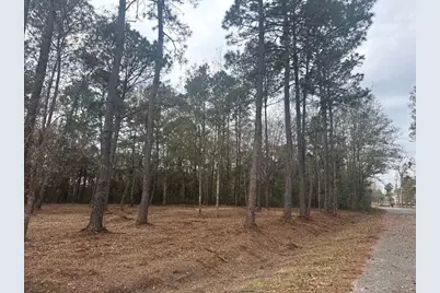 4579 Lakeview Drive, Milton, FL 32583 - Photo 3