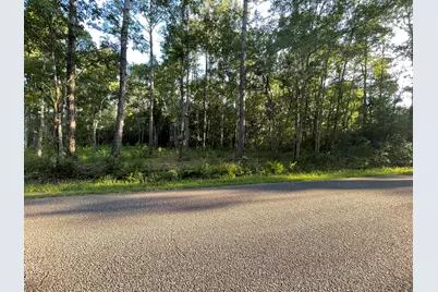 4579 Lakeview Drive, Milton, FL 32583 - Photo 23