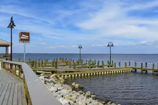 30 Lighthouse Pointe Blvd, Santa Rosa Beach, FL 32459 - Photo 41