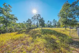 31 Rembrandt Cir, Defuniak Springs, FL 32433 - Photo 33