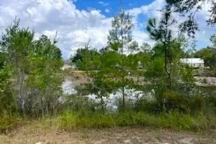 31 Rembrandt Cir, Defuniak Springs, FL 32433 - Photo 37