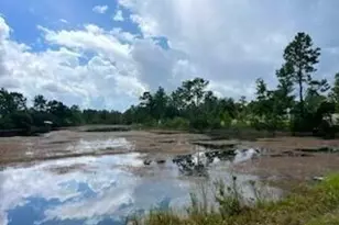 31 Rembrandt Cir, Defuniak Springs, FL 32433 - Photo 39