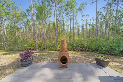 102 Eagle Haven Drive, Santa Rosa Beach, FL 32459 - Photo 35