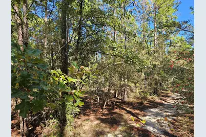 .69 Acre E Dogwood East Avenue E, Defuniak Springs, FL 32433 - Photo 5