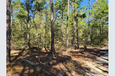 .69 Acre E Dogwood East Avenue E, Defuniak Springs, FL 32433 - Photo 7