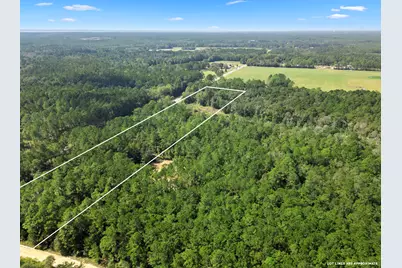 4515 St Highway 20, Freeport, FL 32439 - Photo 13