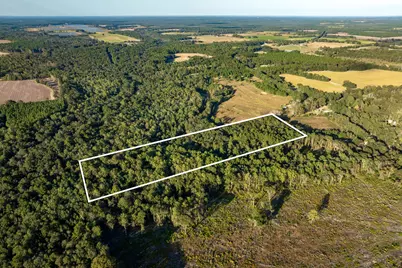 000 Co Rd 1084, Defuniak Springs, FL 32433 - Photo 5