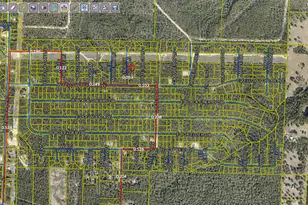 Lot 10 Blk 20 English Holly Ln, Defuniak Springs, FL 32433 - Photo 3