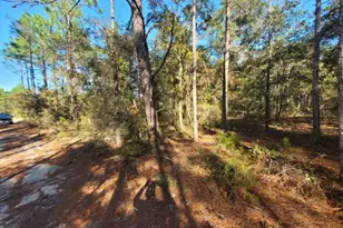 Lot 10 Blk 20 English Holly Ln, Defuniak Springs, FL 32433 - Photo 1