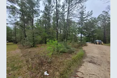 Lot 2 Blk 101 E. Bluebottle Court, Defuniak Springs, FL 32433 - Photo 1