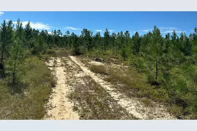 Parcel A Millside Road #<, Laurel Hill, FL 32567 - Photo 13