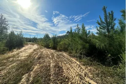 Parcel A Millside Road #<, Laurel Hill, FL 32567 - Photo 3