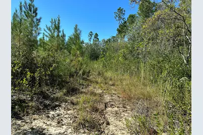Parcel A Millside Road #<, Laurel Hill, FL 32567 - Photo 11