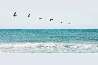 141 Valdare Lane, Inlet Beach, FL 32461 - Photo 55