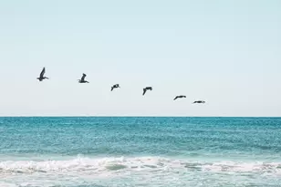 141 Valdare Ln, Inlet Beach, FL 32461 - Photo 55