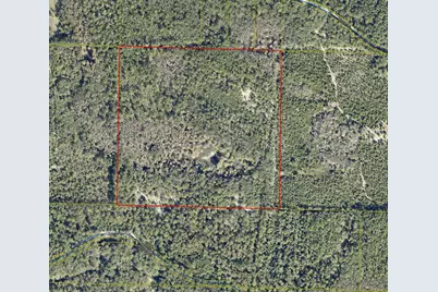 935 River Road, Ponce de Leon, FL 32455 - Photo 3