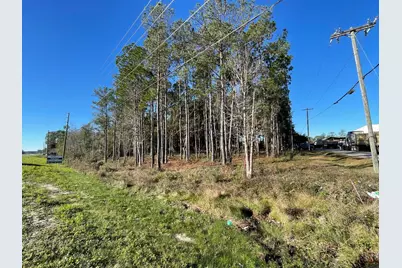 1.1 Acres US Highway 331 South, Freeport, FL 32439 - Photo 3