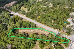 1 91 Acres W St Hwy 20 W, Freeport, FL 32439 - Photo 5