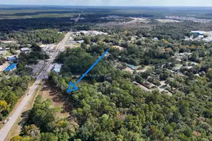 1 91 Acres W St Hwy 20 W, Freeport, FL 32439 - Photo 9