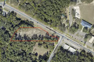 1 91 Acres W St Hwy 20 W, Freeport, FL 32439 - Photo 7