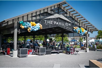 19 Plaza Way, Inlet Beach, FL 32461 - Photo 9