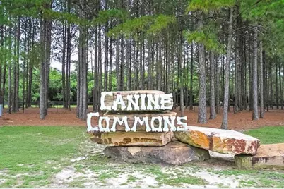 446 Mango Lane, Freeport, FL 32439 - Photo 69