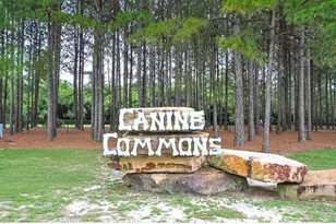 446 Mango Ln, Freeport, FL 32439 - Photo 69