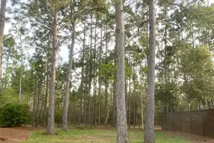 Lot 32 Marlberry Trace, Santa Rosa Beach, FL 32459 - Photo 11