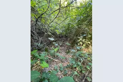 986 Harris Avenue, Panama City, FL 32401 - Photo 5