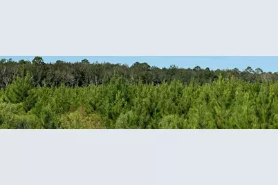 Parcel L Buck Tyner Road, Laurel Hill, FL 32567 - Photo 17