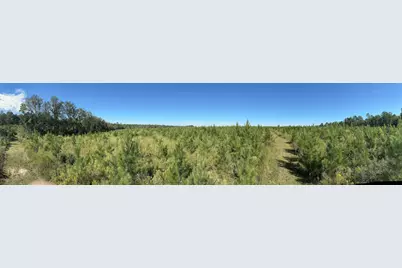 Parcel L Buck Tyner Road, Laurel Hill, FL 32567 - Photo 21