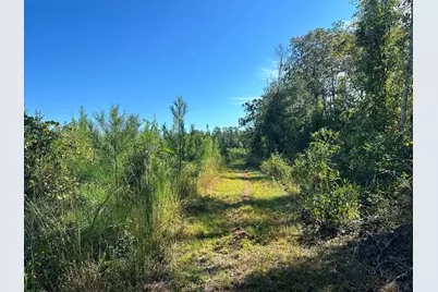 Parcel L Buck Tyner Road, Laurel Hill, FL 32567 - Photo 1