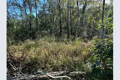 Parcel K&l Buck Tyner Road, Laurel Hill, FL 32567 - Photo 7