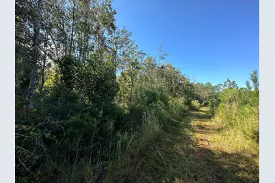 Parcel K&l Buck Tyner Road, Laurel Hill, FL 32567 - Photo 5