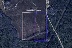 Parcel K&l Buck Tyner Rd, Laurel Hill, FL 32567 - Photo 1