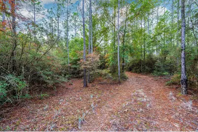 40 Acres Brooklyn Drive, Defuniak Springs, FL 32433 - Photo 9