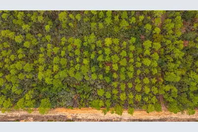 40 Acres Brooklyn Drive, Defuniak Springs, FL 32433 - Photo 25