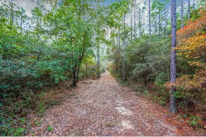 40 Acres Brooklyn Drive, Defuniak Springs, FL 32433 - Photo 3